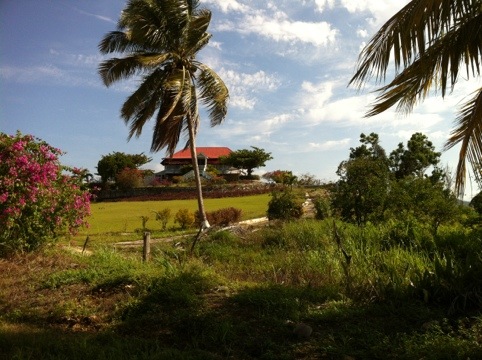 20120416-222638.jpg